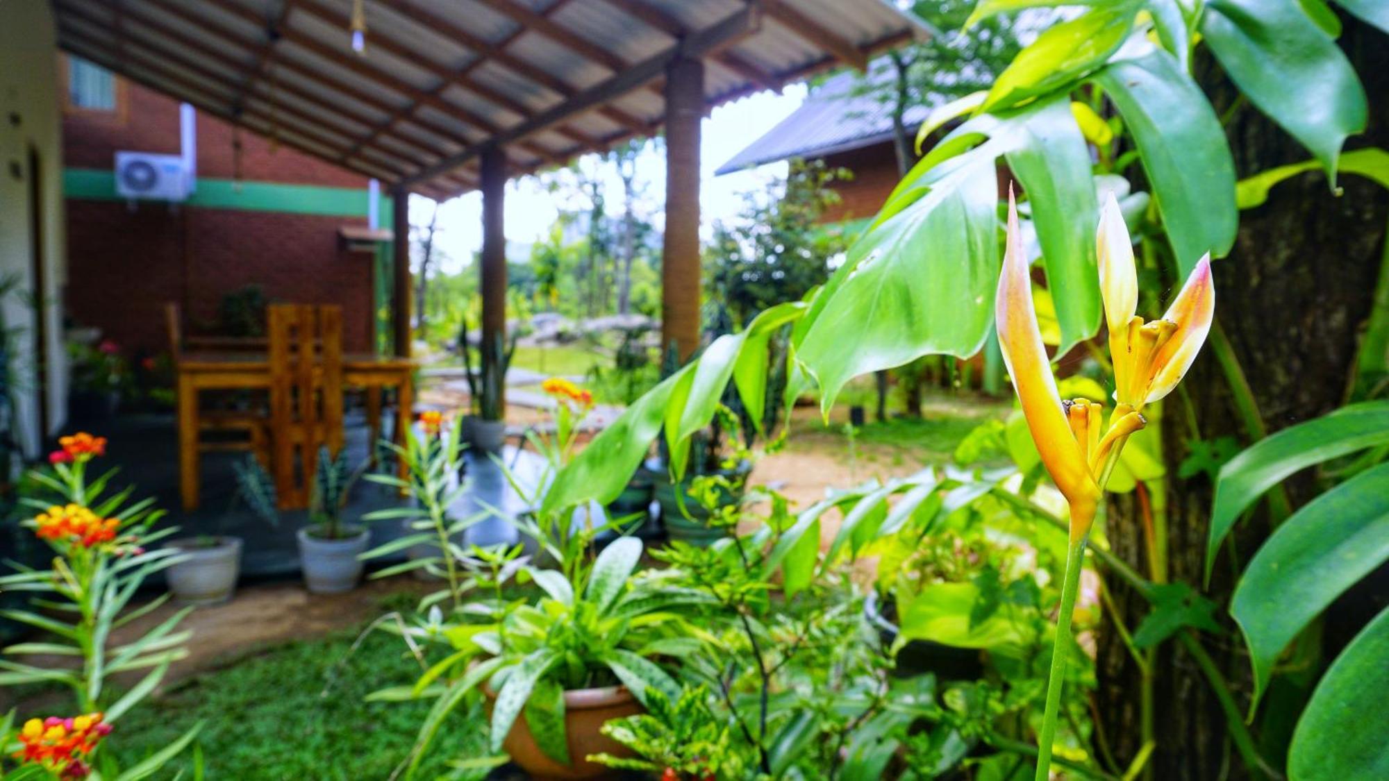 Sigiri Saat Cabana Sigiriya Exterior foto